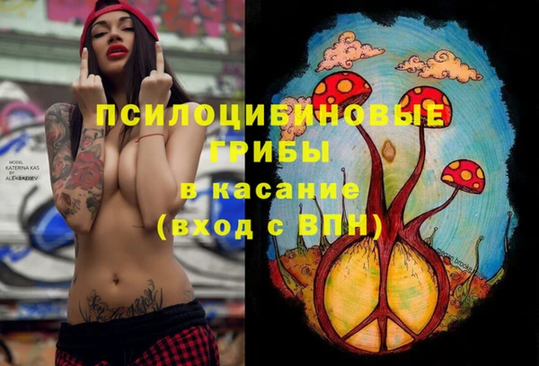 крисы Алексеевка