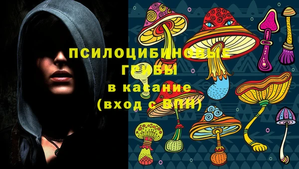 крисы Алексеевка