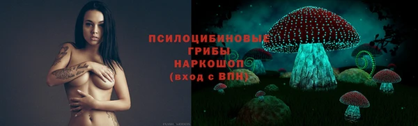крисы Алексеевка