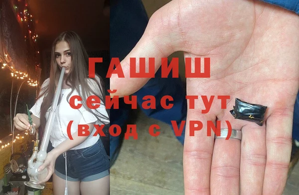 дмт Алзамай