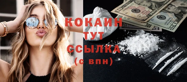дмт Алзамай